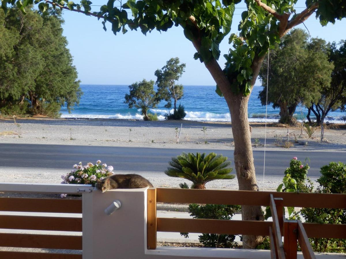 Votsalo Villa Ierapetra  Luaran gambar